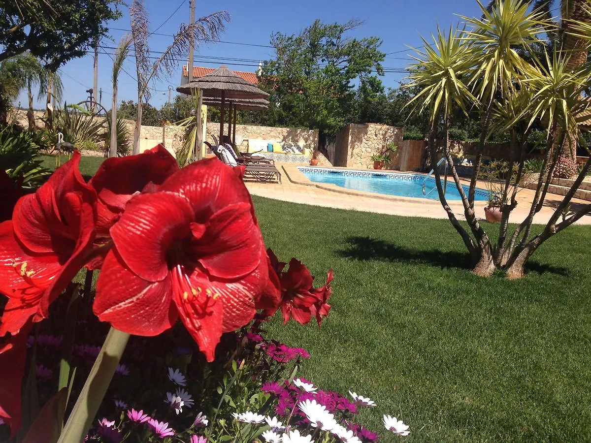 Casa Paula Villas - Private Heatable Pool For Each House